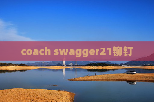coach swagger21铆钉