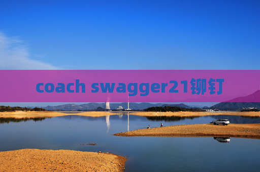 coach swagger21铆钉